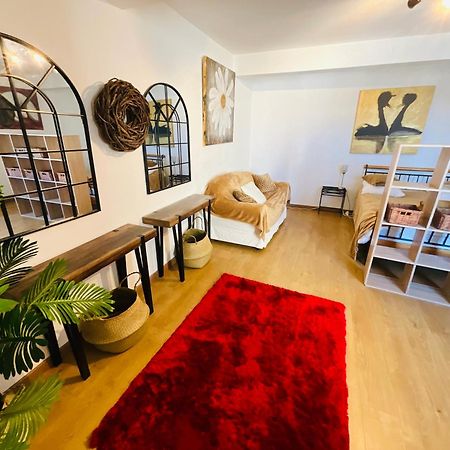 No 14 , 15 Meters Plein Centre Mirepoix Apartment Tres Calme Netflix ,Terrace Sleeps 4 70 M2 Luaran gambar